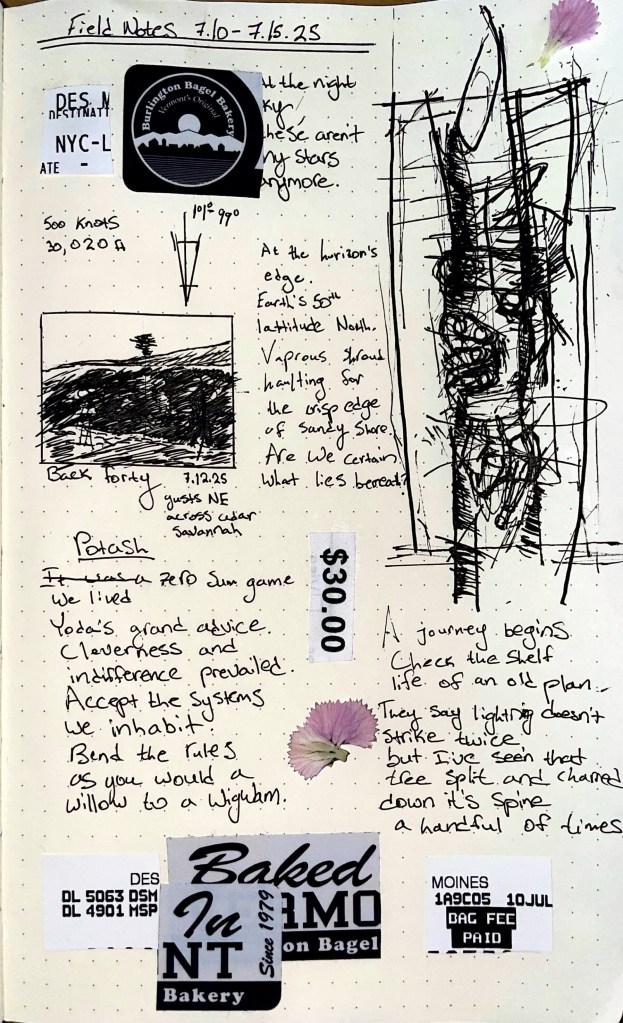 collage of field notes